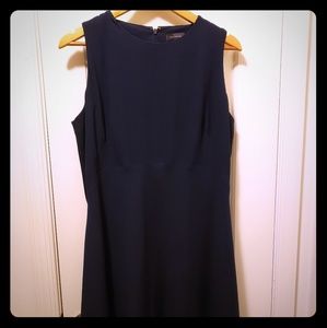 The Limited Fit and Flare Dress